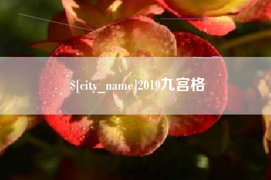 海南2019九宫格