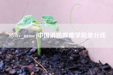 海南中国消防救援学院录分线