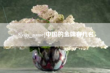 海南中国的金牌有几名