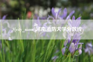 海南河南消防大学分数线