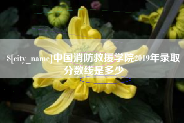 海南中国消防救援学院2019年录取分数线是多少
