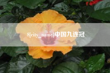 海南中国九连冠
