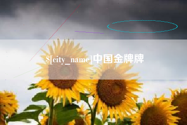 海南中国金牌牌