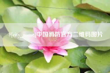 海南中国消防官方二维码图片