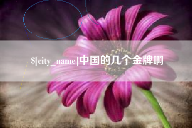 海南中国的几个金牌啊
