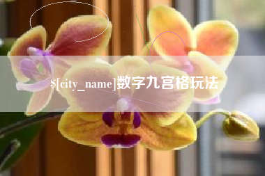 海南数字九宫格玩法