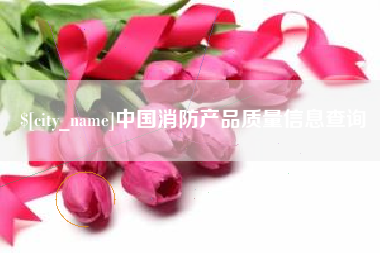 海南中国消防产品质量信息查询