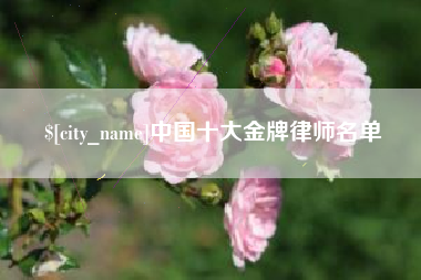 海南中国十大金牌律师名单