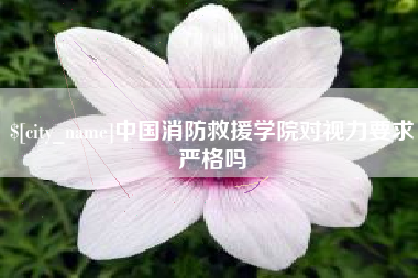 海南中国消防救援学院对视力要求严格吗