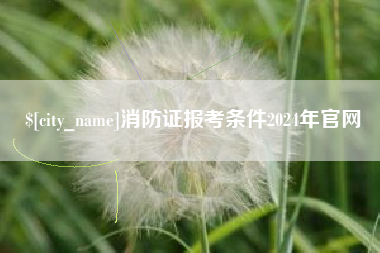 海南消防证报考条件2024年官网