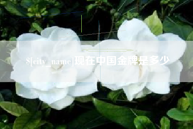 海南现在中国金牌是多少