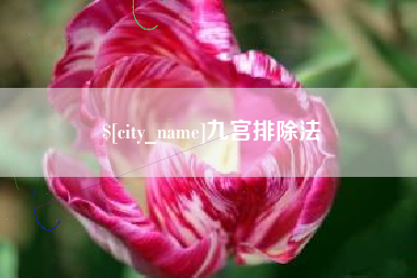 海南九宫排除法