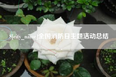 海南全国消防日主题活动总结