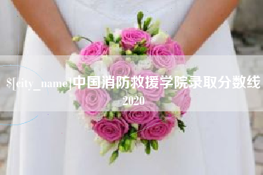 海南中国消防救援学院录取分数线2020