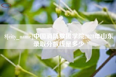 海南中国消防救援学院2021年山东录取分数线是多少
