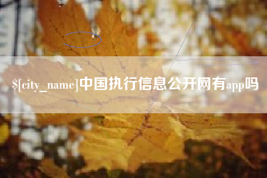 海南中国执行信息公开网有app吗
