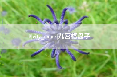 海南九宫格盘子