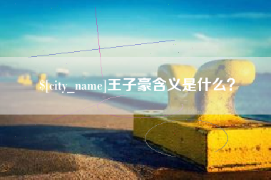 海南王子豪含义是什么？