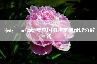 海南2021年中国消防学院录取分数线