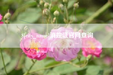 海南消控证官网查询