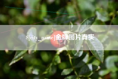 海南金牌图片真实