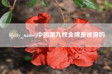 海南中国第九枚金牌是谁得的