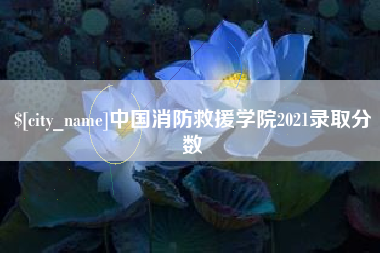 海南中国消防救援学院2021录取分数