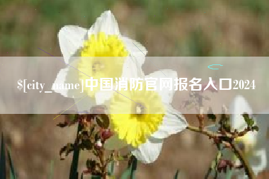 海南中国消防官网报名入口2024