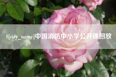 海南中国消防中小学公开课回放