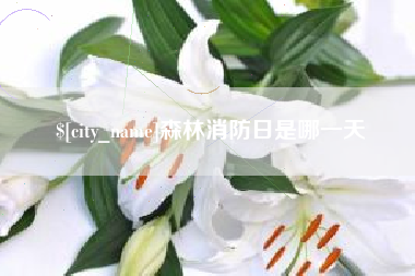 海南森林消防日是哪一天