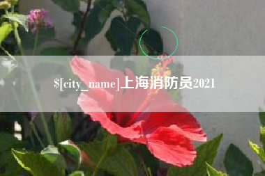 海南上海消防员2021
