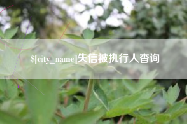 海南失信被执行人杳询