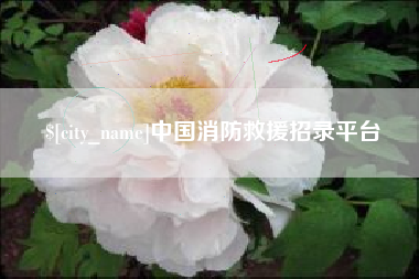 海南中国消防救援招录平台