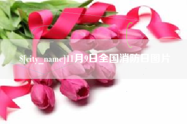 海南11月9日全国消防日图片