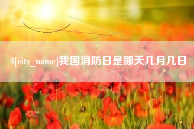 海南我国消防日是哪天几月几日