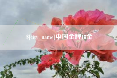 海南中国金牌18金