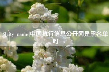 海南中国执行信息公开网是黑名单吗