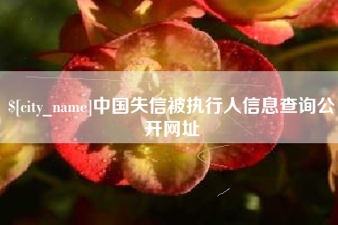 海南中国失信被执行人信息查询公开网址