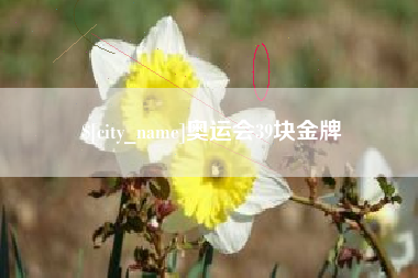 海南奥运会39块金牌