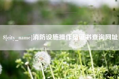 海南消防设施操作员证书查询网址