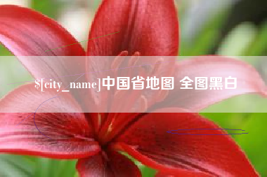 海南中国省地图 全图黑白
