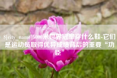 海南5000米世界冠军穿什么鞋-它们是运动员取得优异成绩背后的重要“功臣”