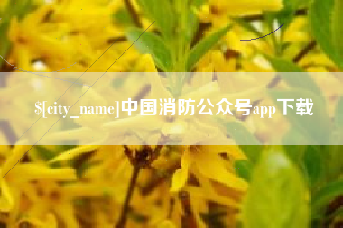 海南中国消防公众号app下载