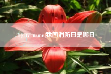 海南我国消防日是哪日