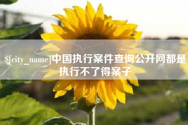海南中国执行案件查询公开网都是执行不了得案子