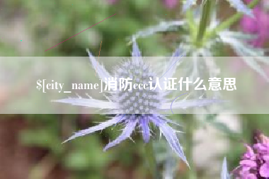 海南消防ccc认证什么意思