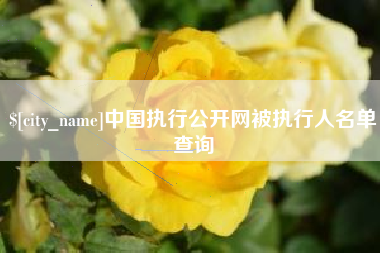 海南中国执行公开网被执行人名单查询