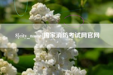 海南国家消防考试网官网