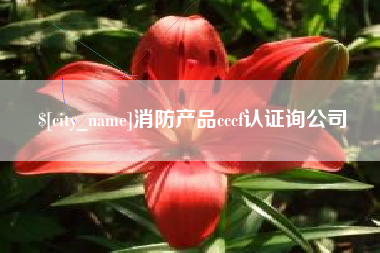 海南消防产品cccf认证询公司