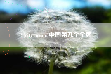 海南中国第九个金牌